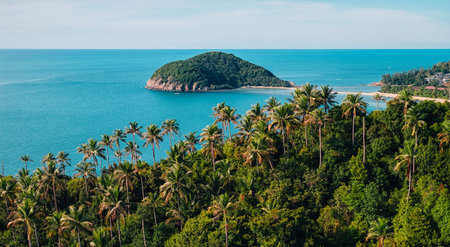 tropical summer with this elevated aerial perspective. The foreground is dominated by a lush,...
