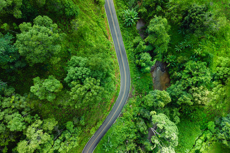 Aerial view of road in green forest and transportation. Nature conservation environment.の写真素材