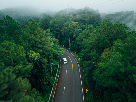 White roads and vehicles in the forest, transportation and environmentの写真素材