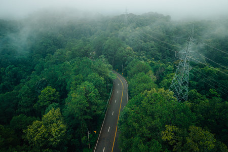 Aerial view of a road in the middle of a green forest in the rainy season. Environment and travel.