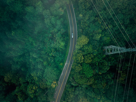 Aerial view of a road in the middle of a green forest in the rainy season. Environment and travel.の写真素材