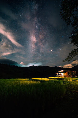 A hut in the middle of a rice field and the belly of a milky way, stars and a night sky with clouds