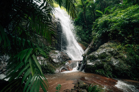 Small waterfall in the natural forest, water source and environmental conservation
