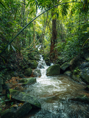 Small streams and waterfalls in a lush forest. Nature and environmental images.