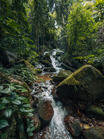 Small streams and waterfalls in a lush forest. Nature and environmental images.