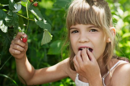 The girl is eattig a raspberry in the garden