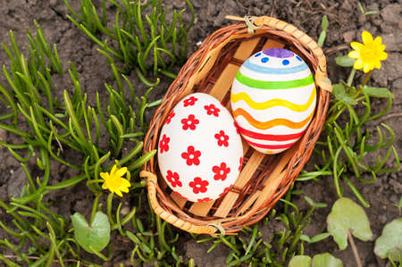 Easter Eggs in little basket on green grassの写真素材