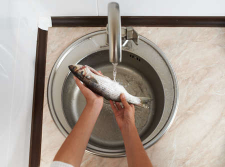 girl clean fish under water to prepare dinnerの写真素材