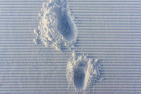 footprints on the handles snowcat track. stripes on snowの写真素材