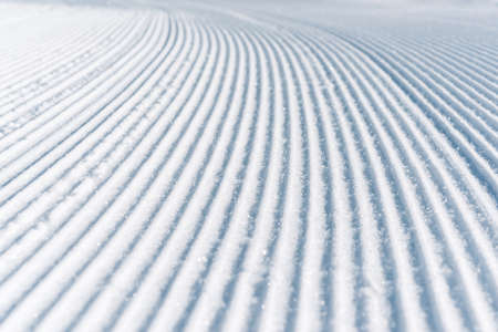 snow field with trail track from carの写真素材