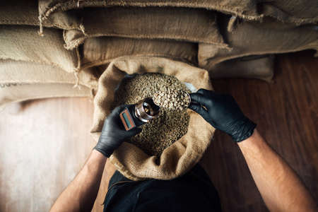 pouring coffee beans into a device for measuring humidity with a metal scoop on background of a burlap bag in a warehouse, top-view from the first-person.の写真素材