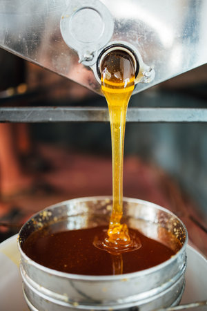 Fresh honey is extracted from the honeycomb. Processing of beekeeping products.