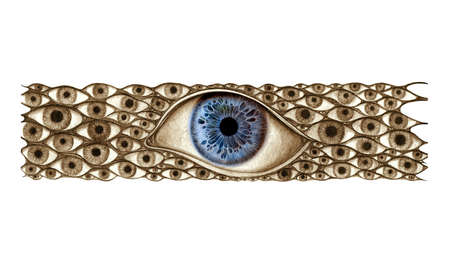 solus - page from SENTENTIA codexの写真素材