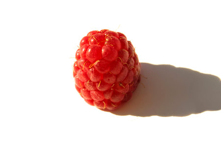 Raspberry isolated on white background. Freshness ripe raspberry closeup. Macro front view sunlight.