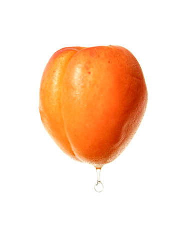 Ripe fresh apricot fruit with dew drop isolated on white background.の写真素材