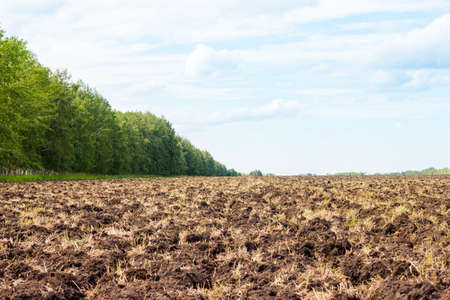 Plowing of the ground. Preparing the ground for sowing seeds. Agricultureの写真素材