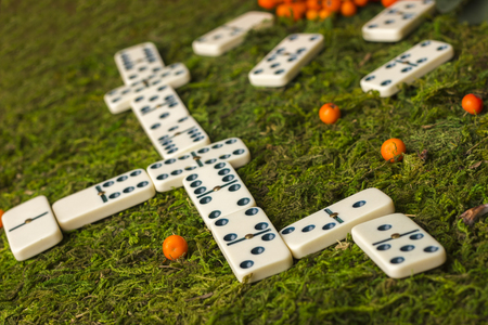 Domino on a background of green grass. Playing dominoesの写真素材