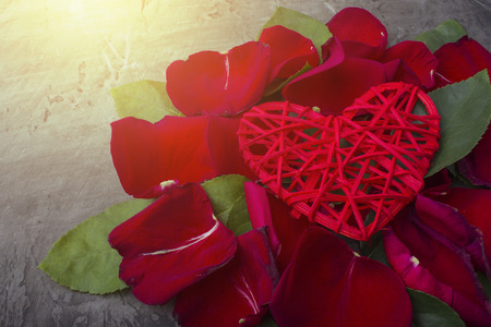 Red heart in the leaves of a rose on a dark background. Space for textの写真素材