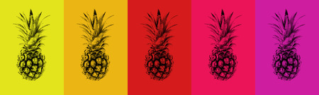 A set of colored pineapples. Abstract background on the background 1の写真素材