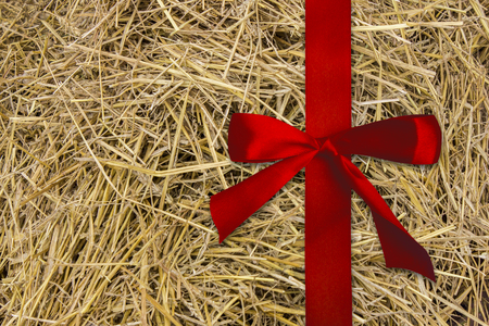 Red satin ribbon. Background, texture of dry grass, hay, straw. Copy spaceの写真素材