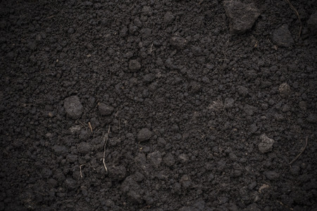 Background texture of the soil, close-up. Black Earthの写真素材