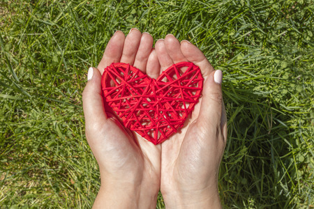 Heart in the hand on grass background. Horizontalの写真素材