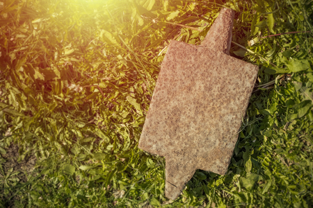 Iron anvil on grass background with copy space. Toningの写真素材