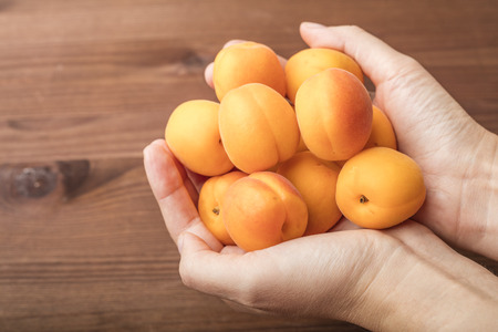 Ripe organic apricots in the hands of a girl, on a wooden backgroundの写真素材