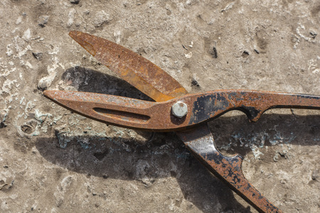 Rusty scissors for cutting metal on a concrete background. Old tool. Close-upの写真素材