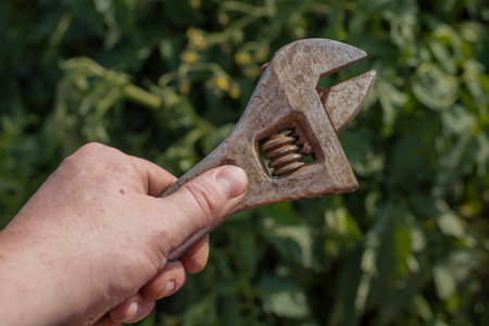 Old adjustable key, in a man hand, against a nature background, with a copy space for your text. Toningの写真素材