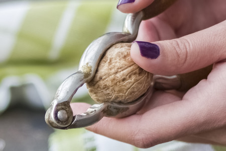Woman hand is cracking a walnut with metal nutcracker. Close-upの写真素材