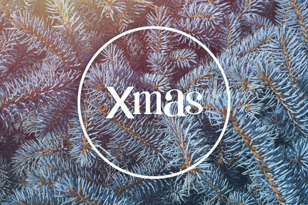 Merry Christmas greeting card. Xmas. Background, branches blue spruce. Copy spaceの写真素材