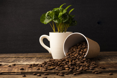 Closeup of blank craft paper coffee cup on the wood table. Space for you advertising. mockupの写真素材