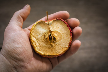 dried apple in farmer hand. Concept of a bad harvest. Copy spaceの写真素材