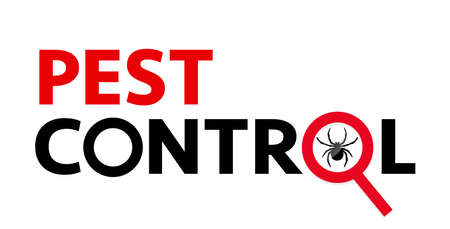 Pest control web banner such as spiders. silhouette of a spider under a magnifying glass on a white background.のイラスト素材