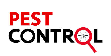 Pest control web banner such as insects. silhouette of a mosquito under a magnifying glass on a white background. Vector, illustrationのイラスト素材