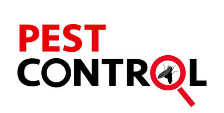 Pest control web banner such as insects. silhouette of a fly under a magnifying glass on a white background. Vector, illustrationのイラスト素材