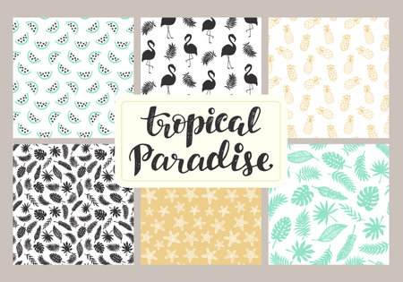 Tropical seamless patterns collectionの写真素材