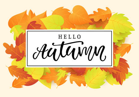 Hello autumn banner templateのイラスト素材