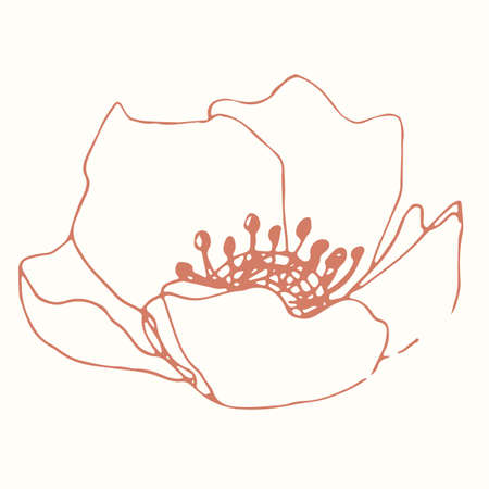 Minimalism card floral art design. Delicate vintage posterのイラスト素材