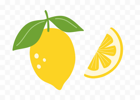 Lemon citrus tropical fruit abstract vector set.のイラスト素材
