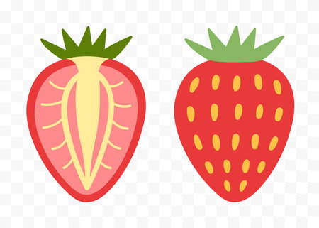 Strawberry half and whole fruit flat vector setのイラスト素材