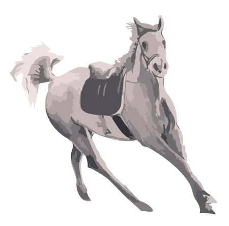 Horse Vectorのイラスト素材