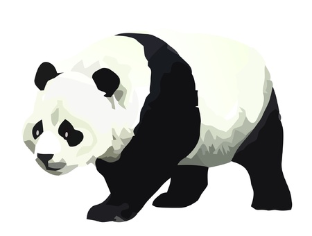 Pandaのイラスト素材