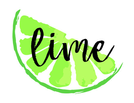 Lime fruit label and sticker. Vector illustration in watercolor style, for graphic and web design