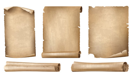 Set of Ancient Paper or Parchment Scrolls, realistic vector illustration on white backgroundのイラスト素材