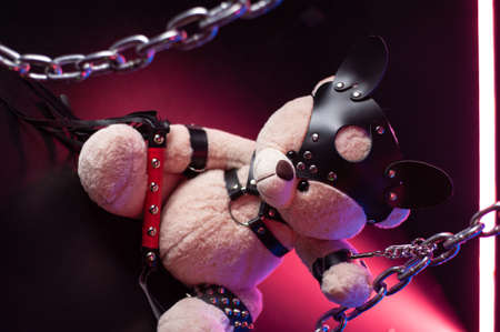 toy bear dressed in leather belts harness accessory for BDSM games on a dark background in neon lightの写真素材