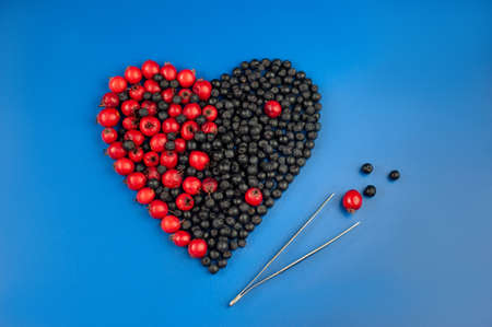 heart of hawthorn berries And Aronia Prunus-a symbol of health and longevityの写真素材