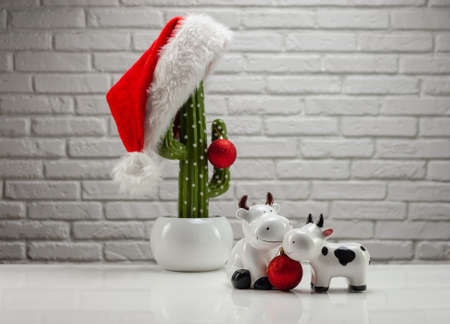 artificial cactus with a Santa Claus hat Christmas toys and figures of a bull and a cow symbol of the new year 2021の写真素材