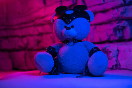 bdsm accessories on a teddy bear in neon light among the rocks backgroundの写真素材